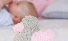 Cute Bird Soft Baby Toy Free Knitting Pattern