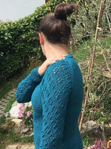 Field of Flowers Free Sweater Knitting Pattern.