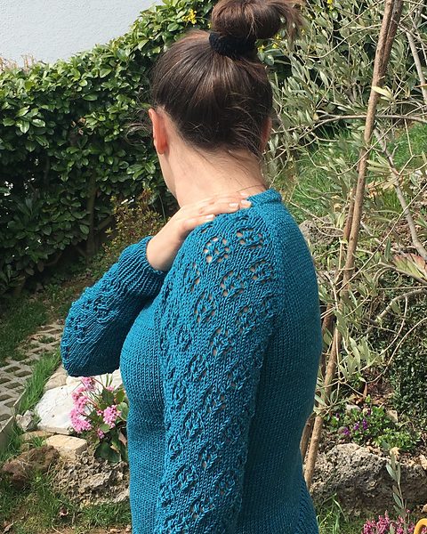 Field of Flowers Free Sweater Knitting Pattern
