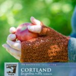 Free Knitting Pattern for Cortland Fingerless Mitts