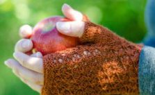Free Knitting Pattern for Cortland Fingerless Mitts