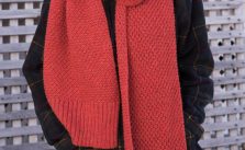 Free Knitting Pattern for a Scarf Quinn