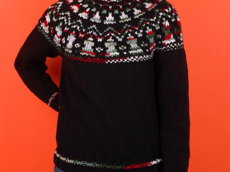 Free Knitting Pattern for a Yuletide Yoke Jumper