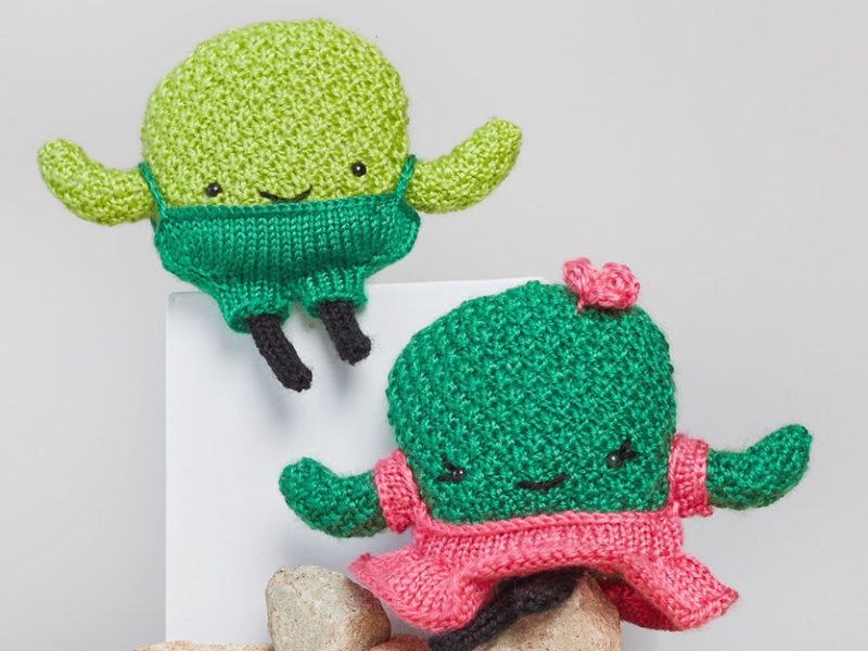 Free Knitting Pattern for Prickles and Pear Knit Cactus
