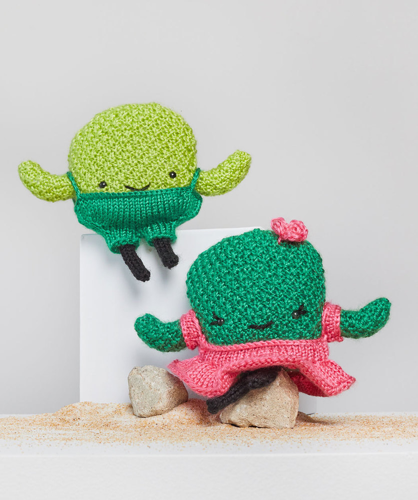 Free Knitting Pattern for Prickles and Pear Knit Cactus