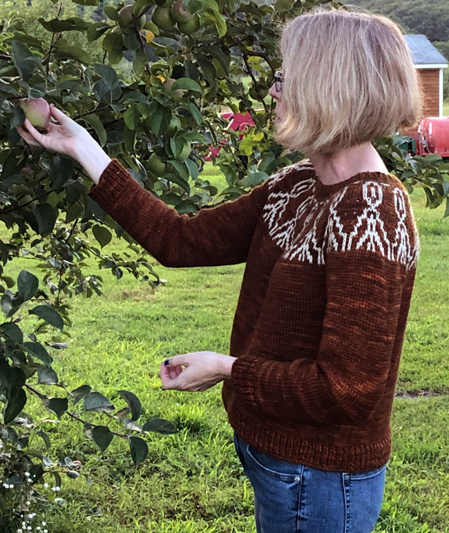 Free knitting pattern for a stranded colorwork sweater