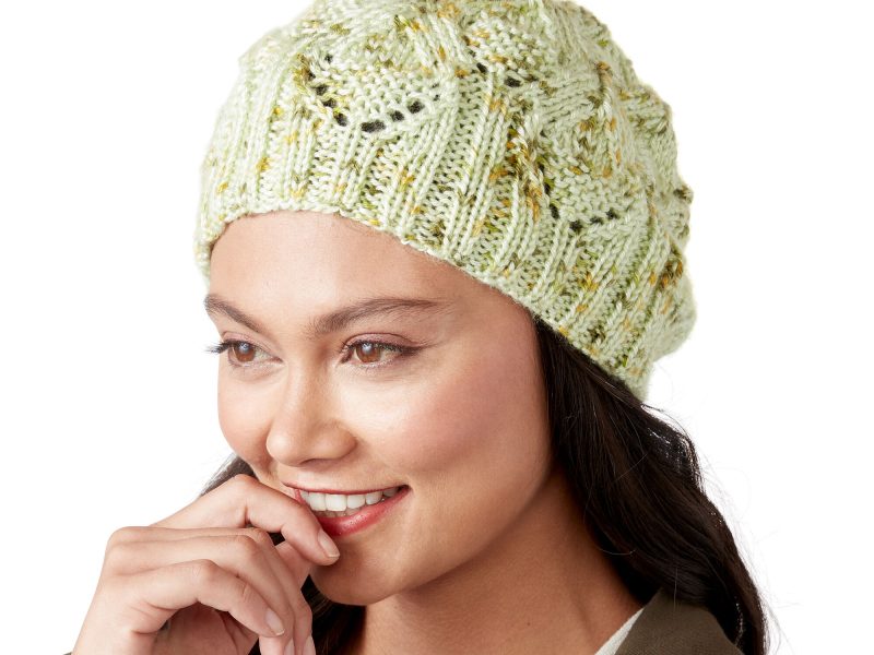 Free Knitting Pattern for a Medallion Hat
