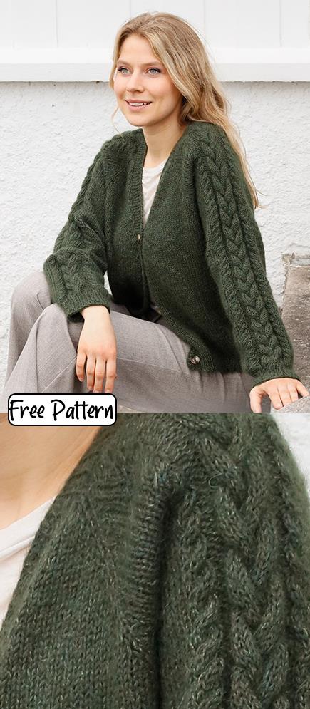 Free knitting pattern for a cardi with cabled raglan sleeves