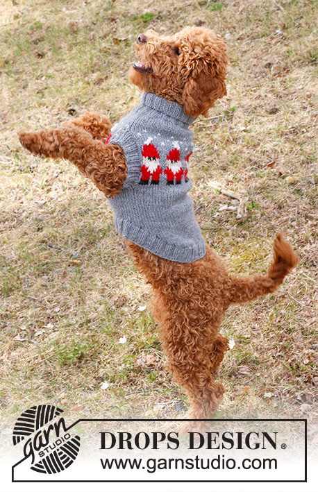 Christmas Knitting Patterns for Dogs