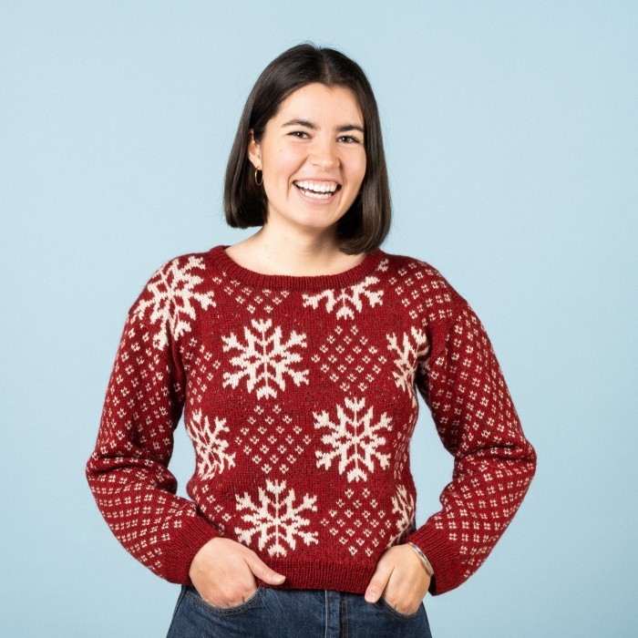 fair isle christmas sweater free knitting pattern