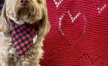 Free Knitting Pattern for a Lace Heart Shawl