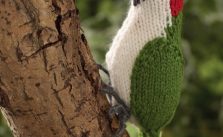Free Bird Knitting Pattern for a Woodpecker