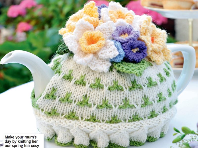 Knitting Pattern for a Flower Topped Tea Cosy
