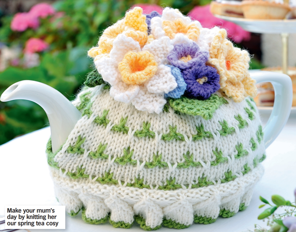 Knitting Pattern for a Flower Topped Tea Cosy