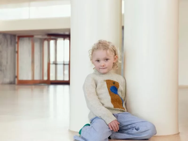 Free Knitting Pattern for Jacu – Boy’s Sweater
