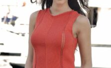 Free Knitting Pattern for a Chevron Tank Top