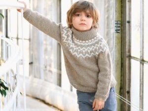 Free Knitting Pattern for a Boy's High Neck Sweater